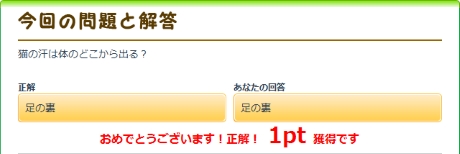 猫の汗は体のどこから出る?